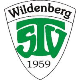 TSV Wildenberg