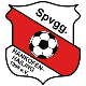 Spvgg Hankofen-Hailing