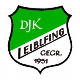 DJK SV Leiblfing