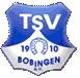 TSV 1910 Bobingen
