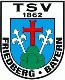 TSV 1862 Friedberg