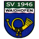 SV 1946 Waidhofen