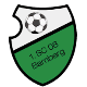 1. SC 08 Bamberg