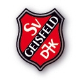 DJK-SV Geisfeld