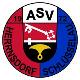 (SG2) ASV Herrnsdorf/DJK-SV Sambach/SV Steppach I