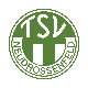 TSV Neudrossenfeld Wappen