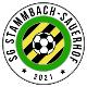 1. FC 1921 Stammbach