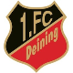 1. FC Deining