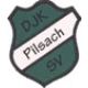 DJK-SV Pilsach