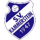 SV Kammerstein