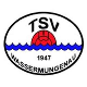 TSV Wassermungenau