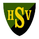 SV 1919 Hofheim