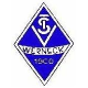TSV Werneck