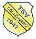 TSV 1947 Collenberg