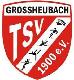 TSV 1990 Großheubach