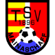 TSV Mainaschaff Wappen