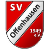 SV 1949 Offenhausen 2