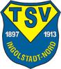 TSV Ingolstadt-<wbr>Nord II