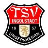 TSV Ingolstadt-<wbr>Unsernherrn