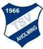 TSV Aholming II