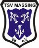 TSV 08 Massing