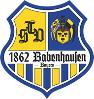 TSV Babenhausen 3