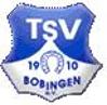 TSV Bobingen 2  Flex
