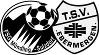 TSV Ebermergen 2