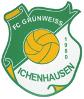 FC Grün-<wbr>Weiß Ichenhausen zg.