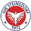 DJK Steinsdorf 1