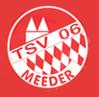 TSV Meeder III