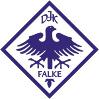 DJK Falke Nürnberg