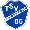 TSV Behringersdorf 2