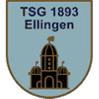 TSG Ellingen II