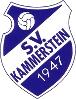 SV Kammerstein