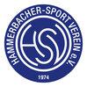 Hammerbacher SV 2