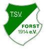 (SG)TSV Forst II/<wbr> SG Hausen