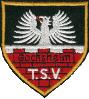 TSV Gochsheim II